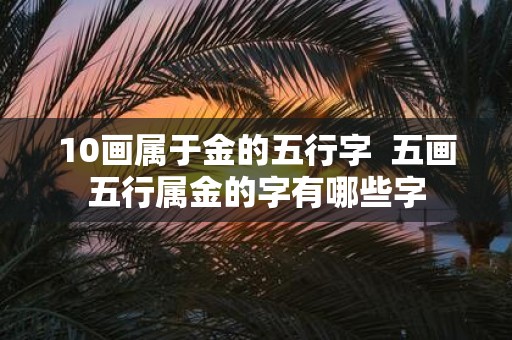 10画属于金的五行字 五画五行属金的字有哪些字