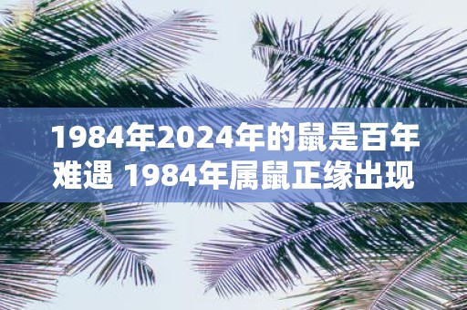 1984年2025年的鼠是百年难遇 1984年属鼠正缘出现在多少岁