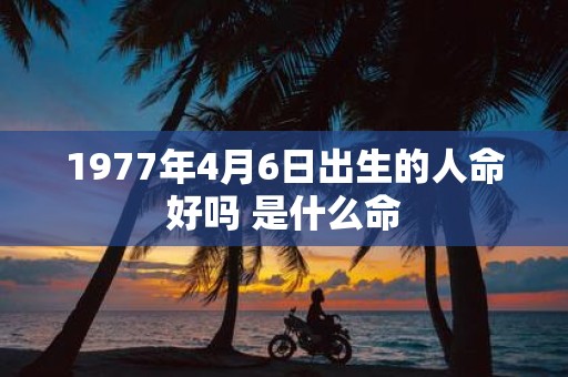1977年4月6日出生的人命好吗 是什么命