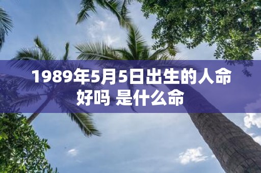 1989年5月5日出生的人命好吗 是什么命