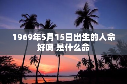 1969年5月15日出生的人命好吗 是什么命