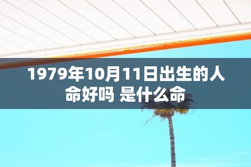 1979年10月11日出生的人命好吗 是什么命