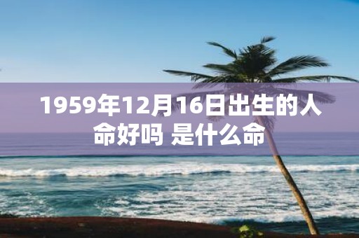1959年12月16日出生的人命好吗 是什么命