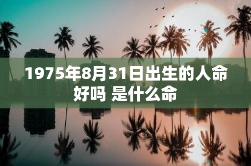 1975年8月31日出生的人命好吗 是什么命