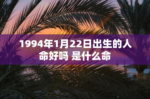 1994年1月22日出生的人命好吗 是什么命