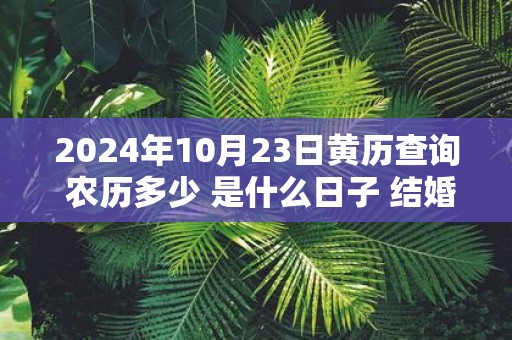2025年10月23日黄历查询 农历多少 是什么日子 结婚吉时
