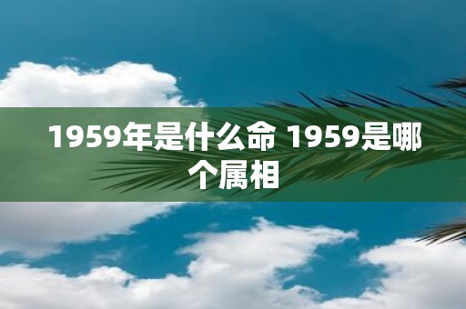 1959年是什么命 1959是哪个属相