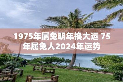 1975年属兔明年换大运 75年属兔人2025年运势