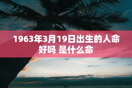 1963年3月19日出生的人命好吗 是什么命