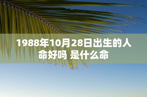 1988年10月28日出生的人命好吗 是什么命