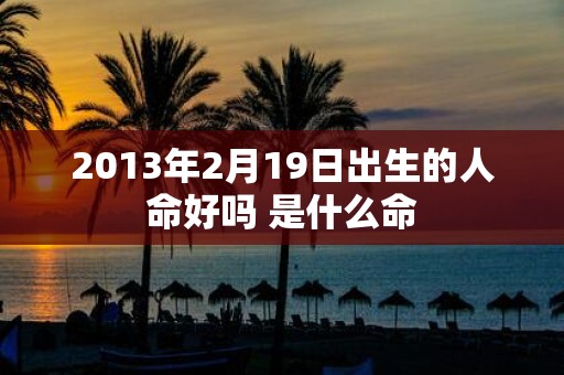 2013年2月19日出生的人命好吗 是什么命
