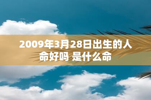 2009年3月28日出生的人命好吗 是什么命