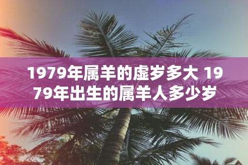 1979年属羊的虚岁多大 1979年出生的属羊人多少岁