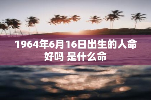 1964年6月16日出生的人命好吗 是什么命