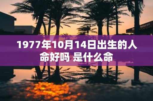 1977年10月14日出生的人命好吗 是什么命 1977年10月14日出生的人命好吗 是什么命
