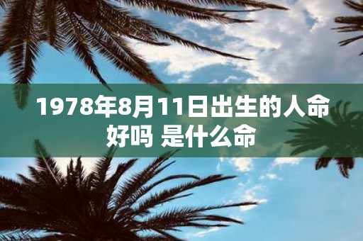 1978年8月11日出生的人命好吗 是什么命