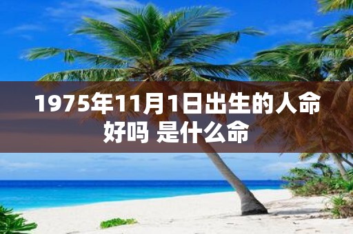 1975年11月1日出生的人命好吗 是什么命