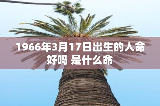 1966年3月17日出生的人命好吗 是什么命