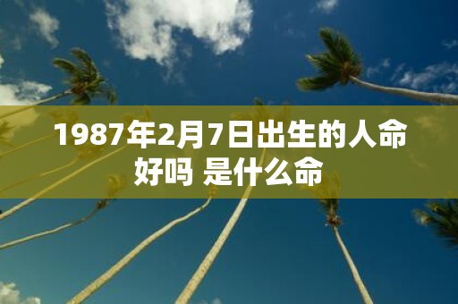 1987年2月7日出生的人命好吗 是什么命