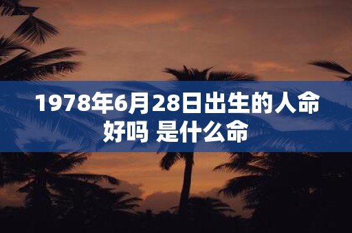 1978年6月28日出生的人命好吗 是什么命