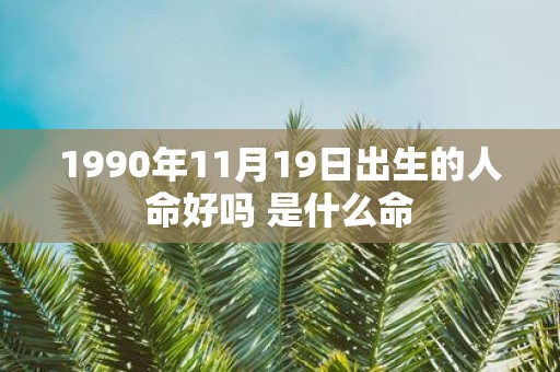 1990年11月19日出生的人命好吗 是什么命