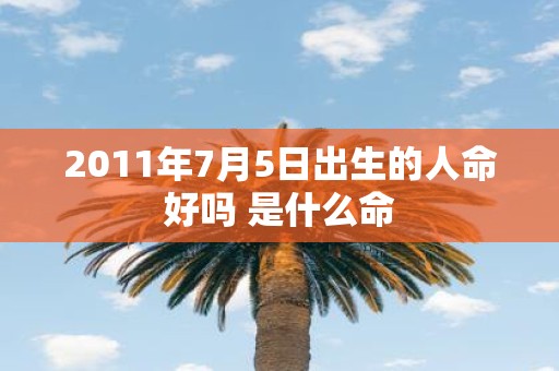 2011年7月5日出生的人命好吗 是什么命
