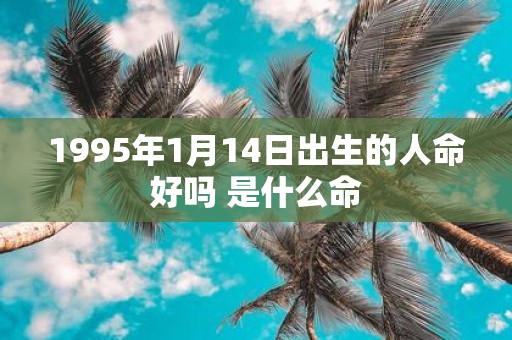 1995年1月14日出生的人命好吗 是什么命