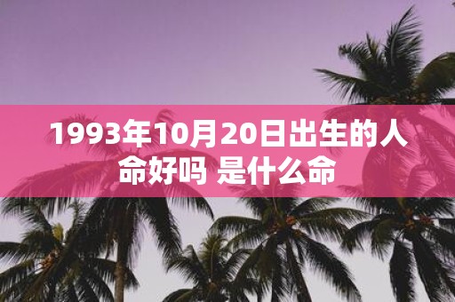 1993年10月20日出生的人命好吗 是什么命