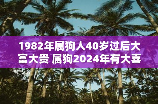 1982年属狗人40岁过后大富大贵 属狗2025年有大喜缠身