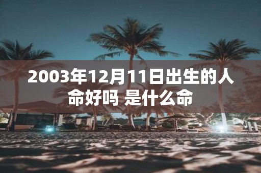 2003年12月11日出生的人命好吗 是什么命
