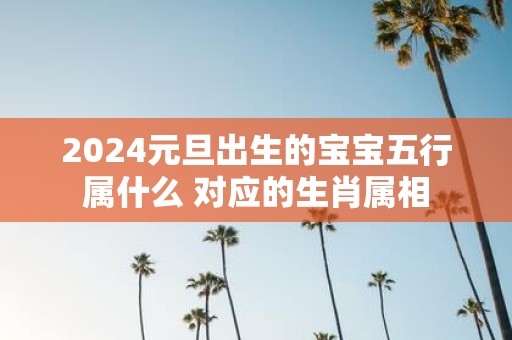 2025元旦出生的宝宝五行属什么 对应的生肖属相