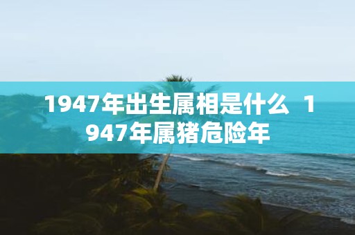 1947年出生属相是什么 1947年属猪危险年