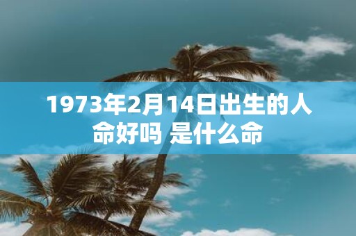 1973年2月14日出生的人命好吗 是什么命