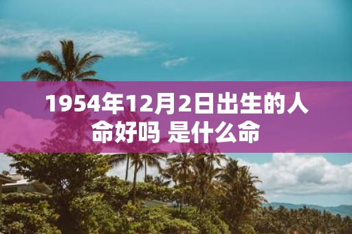 1954年12月2日出生的人命好吗 是什么命