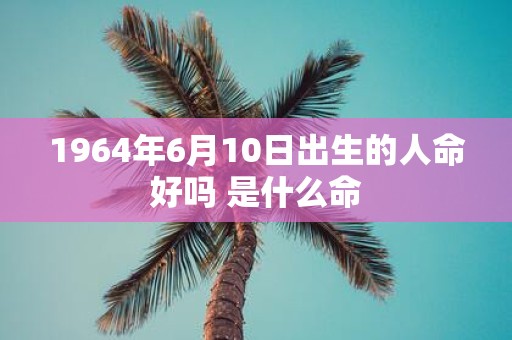 1964年6月10日出生的人命好吗 是什么命