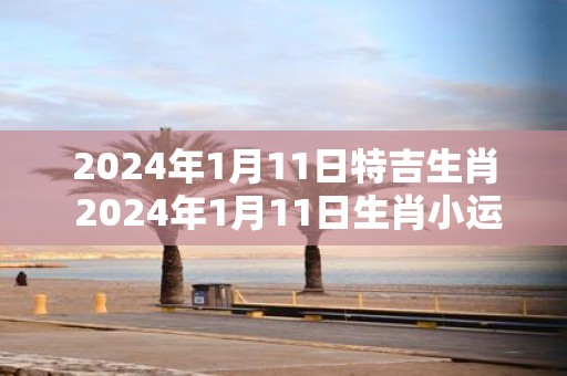2025年1月11日特吉生肖 2025年1月11日生肖小运播报