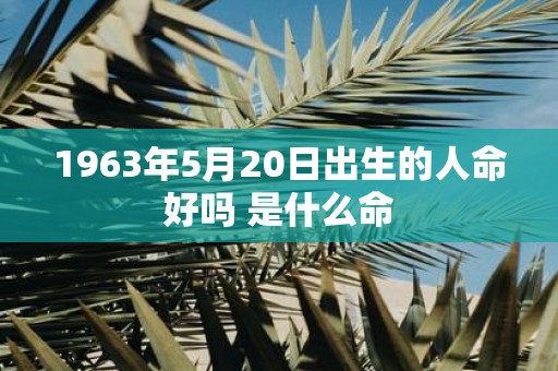 1963年5月20日出生的人命好吗 是什么命