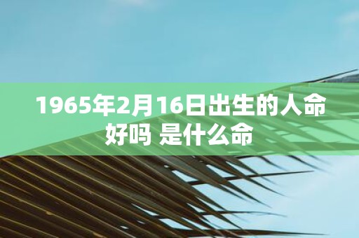 1965年2月16日出生的人命好吗 是什么命