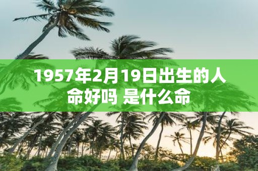 1957年2月19日出生的人命好吗 是什么命