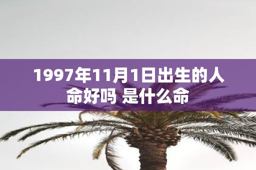 1997年11月1日出生的人命好吗 是什么命