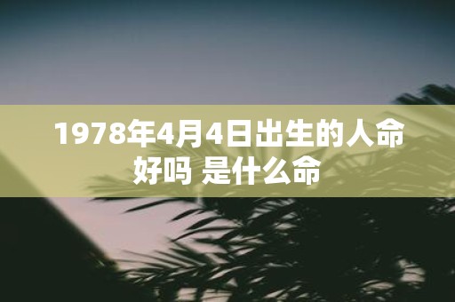 1978年4月4日出生的人命好吗 是什么命