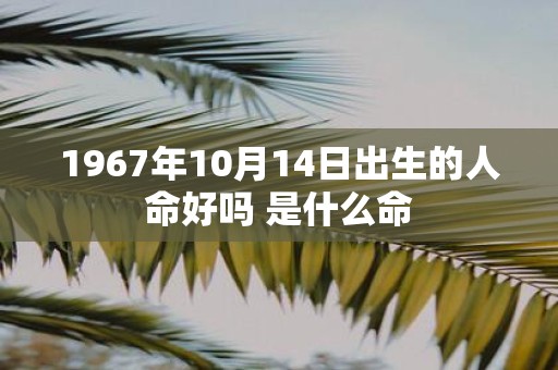 1967年10月14日出生的人命好吗 是什么命