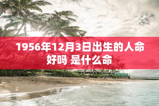 1956年12月3日出生的人命好吗 是什么命