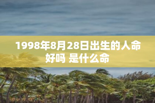 1998年8月28日出生的人命好吗 是什么命