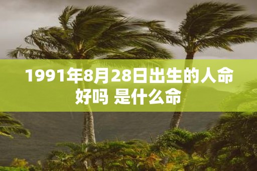1991年8月28日出生的人命好吗 是什么命