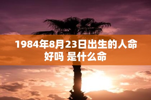 1984年8月23日出生的人命好吗 是什么命
