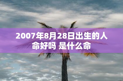 2007年8月28日出生的人命好吗 是什么命