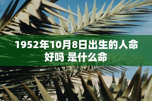 1952年10月8日出生的人命好吗 是什么命