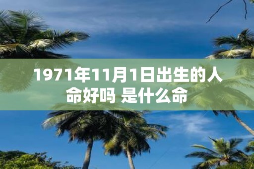 1971年11月1日出生的人命好吗 是什么命