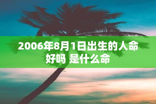 2006年8月1日出生的人命好吗 是什么命